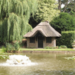 Ascott House lily pond, August 2013